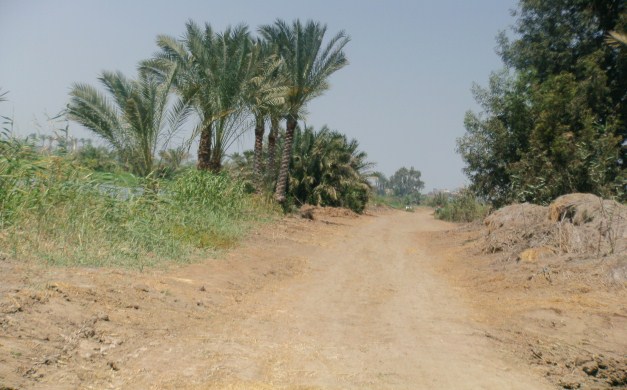 جفاف الاراضى 